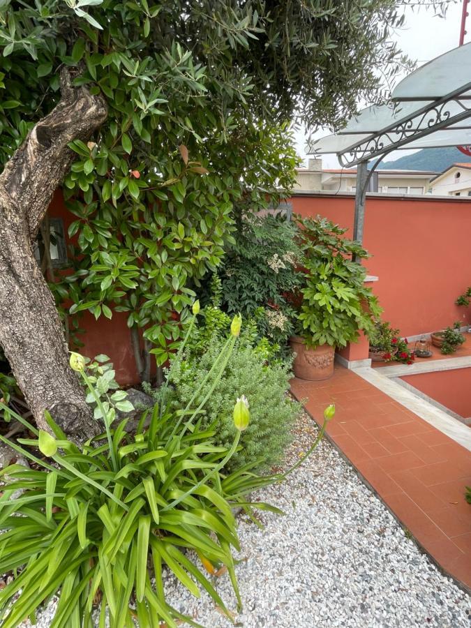 In Versilia Seravezza Exterior foto