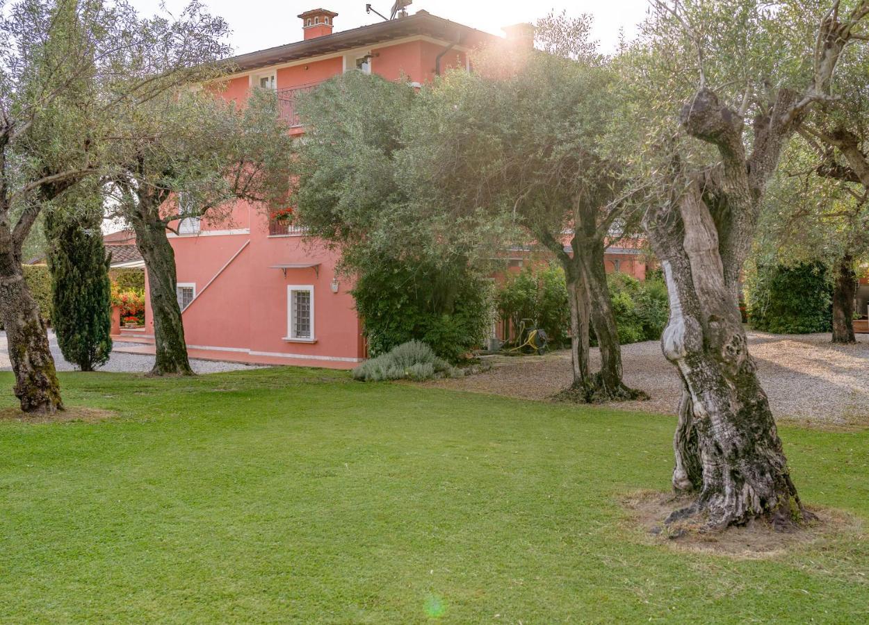 In Versilia Seravezza Exterior foto
